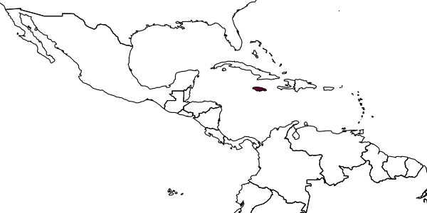 map of Parasierola rivularis     Evans, 1969
